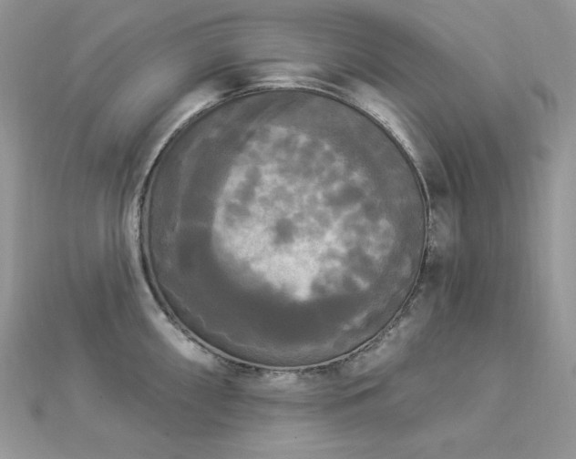 X0000112821098200908211200