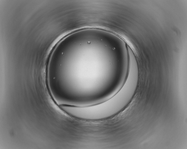 X0000112821100200908211200
