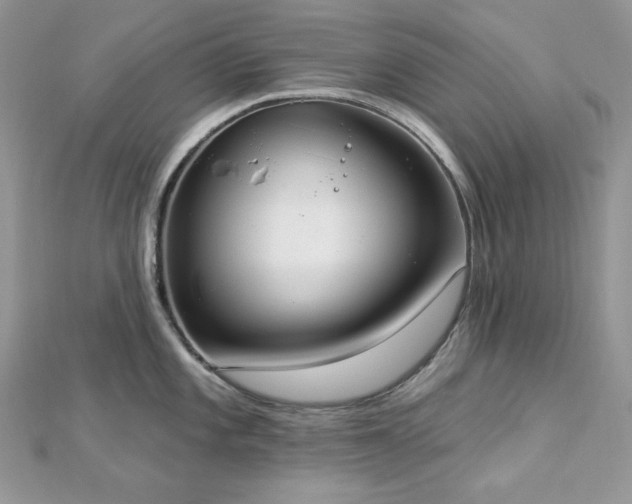 X0000112821101200908211200