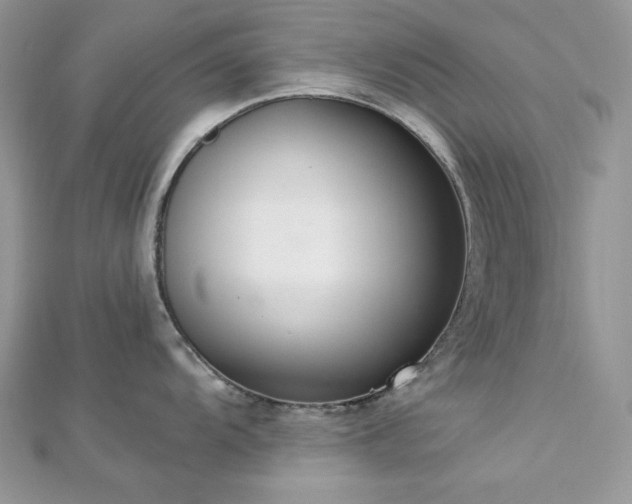 X0000112821104200908211200