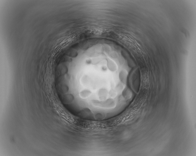 X0000112821105200908211159