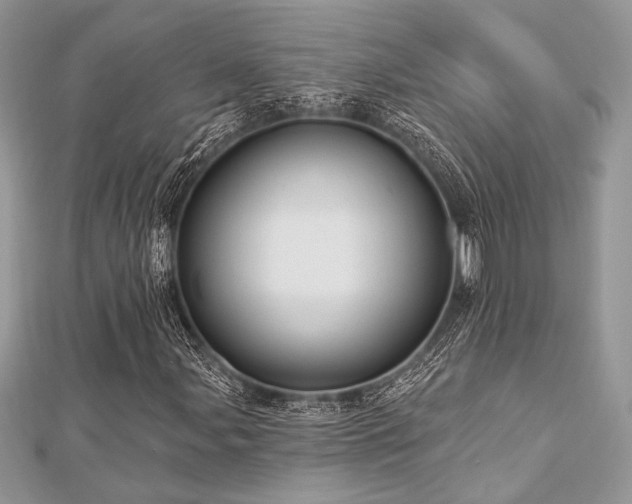 X0000112821107200908211159