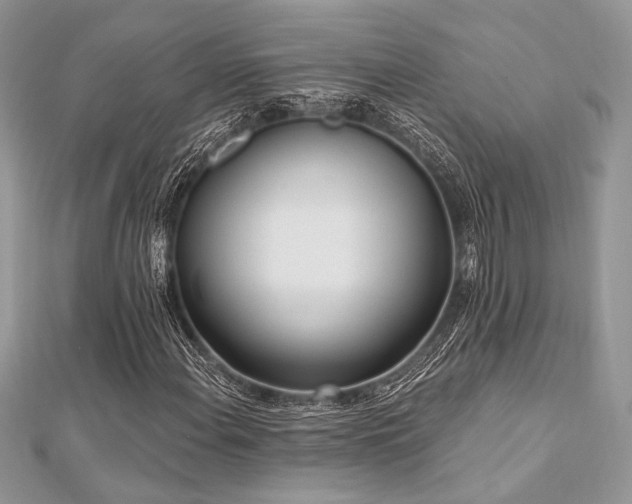 X0000112821108200908211159