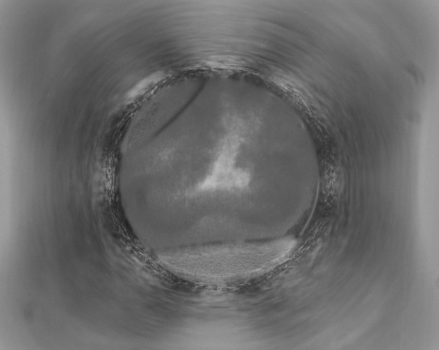 X0000112821110200908211200