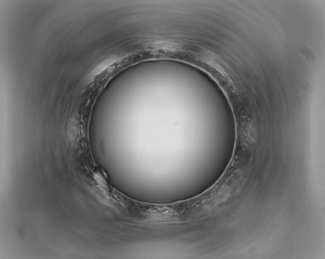 X0000112821112200908211200