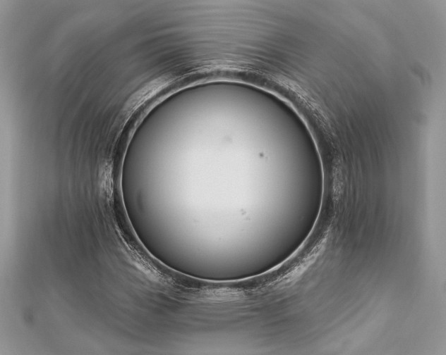 X0000112821113200908211200