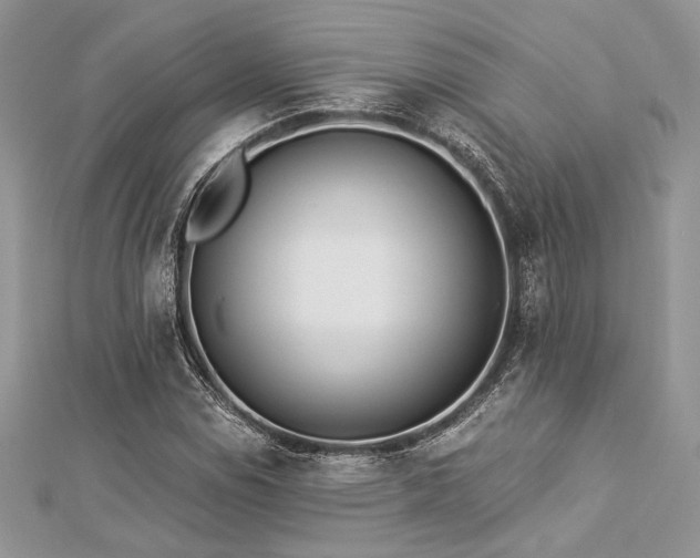X0000112821114200908211200