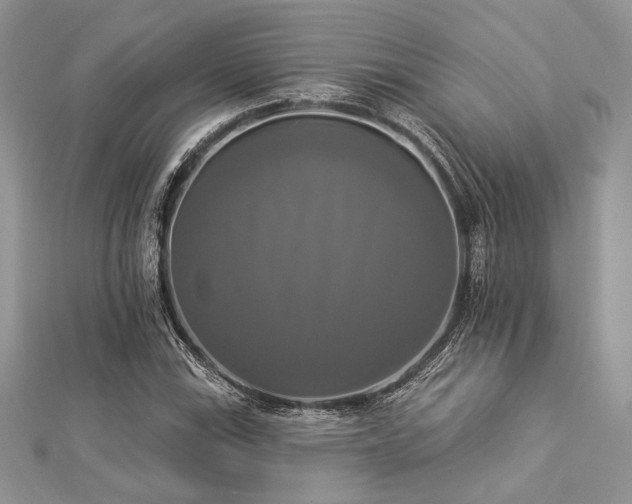 X0000112821115200908211200