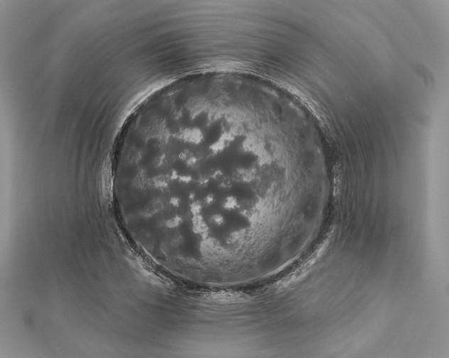 X0000112821117200908211200
