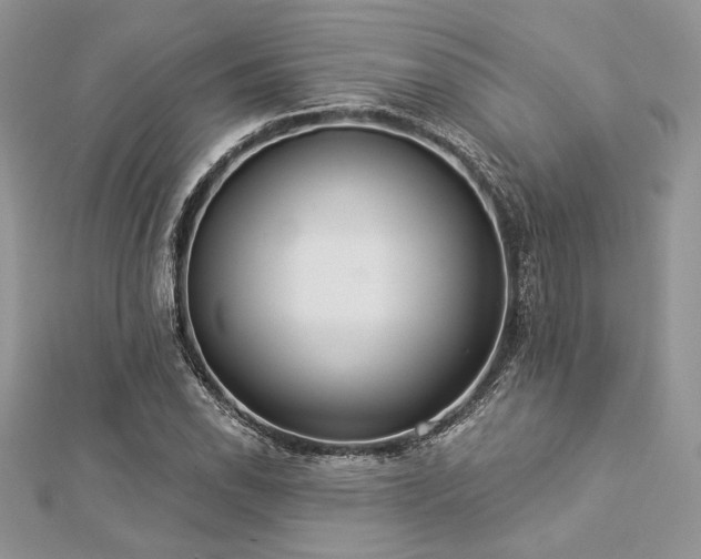 X0000112821118200908211200