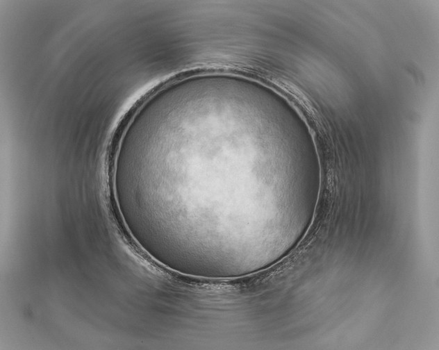 X0000112821120200908211200