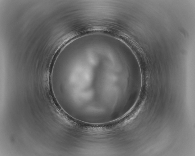X0000112821121200908211200