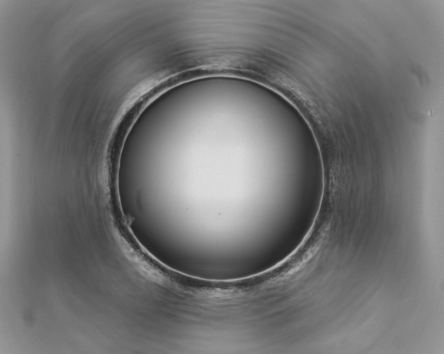 X0000112821122200908211200