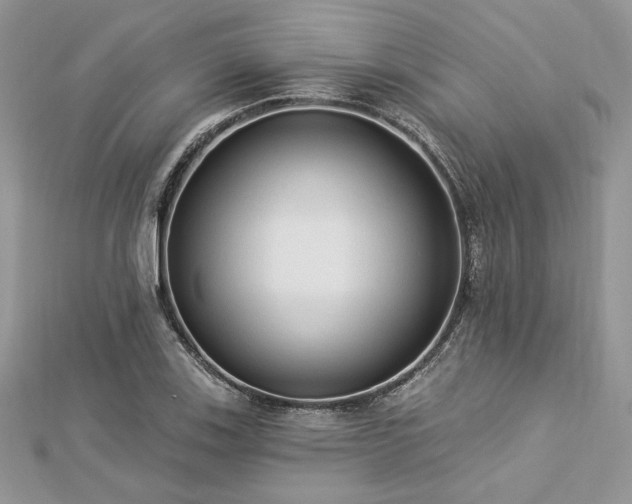 X0000112821123200908211200