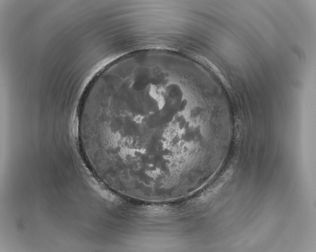 X0000112821125200908211200