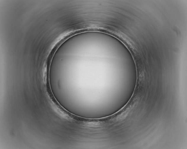 X0000112821126200908211200