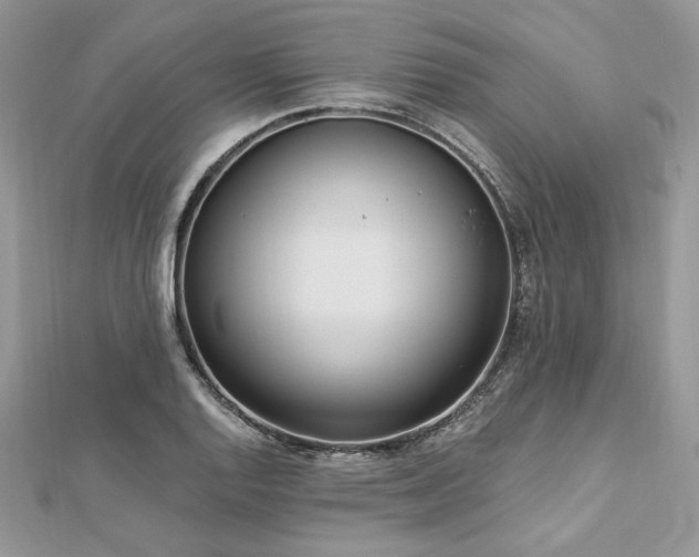 X0000112821128200908211200