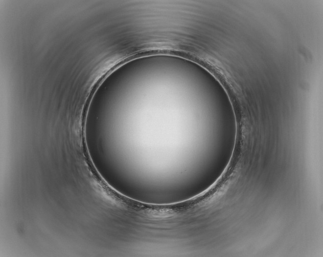 X0000112821129200908211200