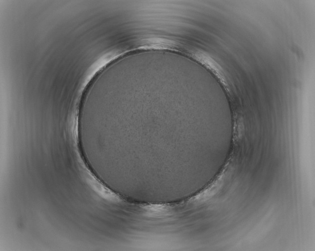 X0000112821130200908211200