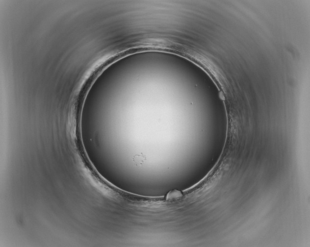 X0000112821131200908211200
