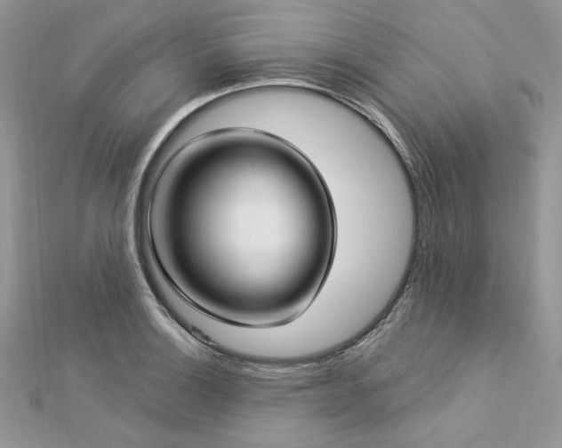 X0000112821132200908211200