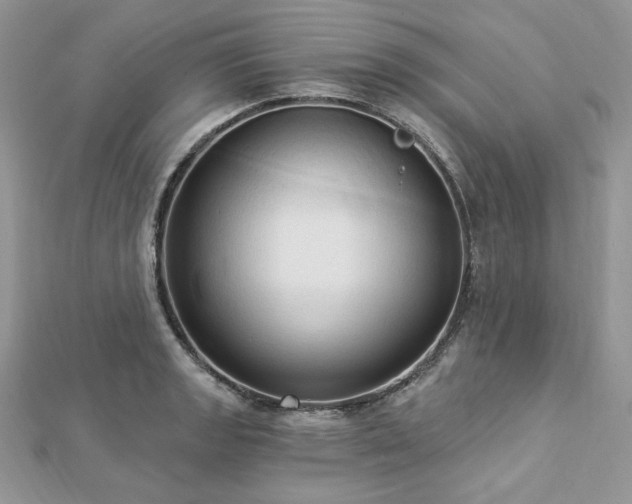 X0000112821133200908211200