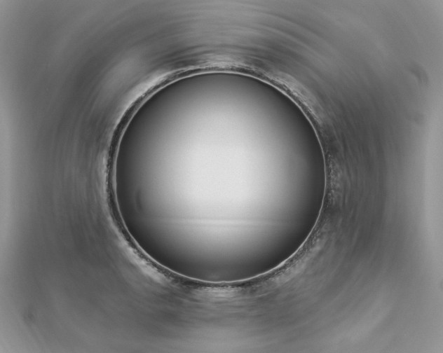 X0000112821134200908211200