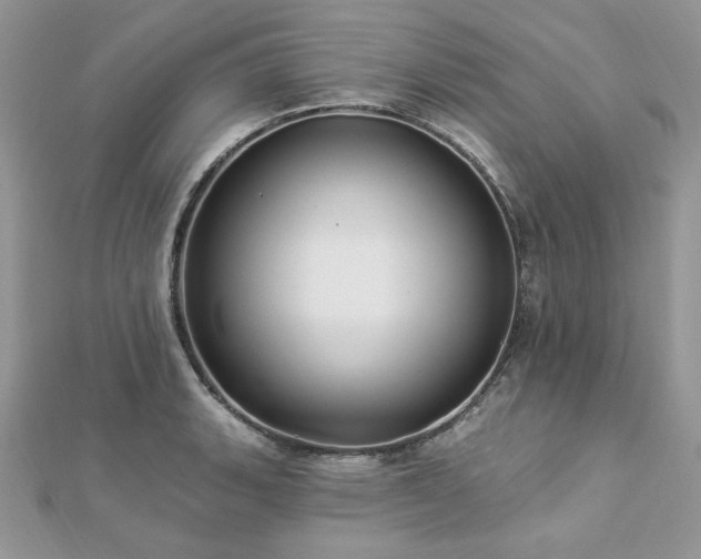 X0000112821135200908211200