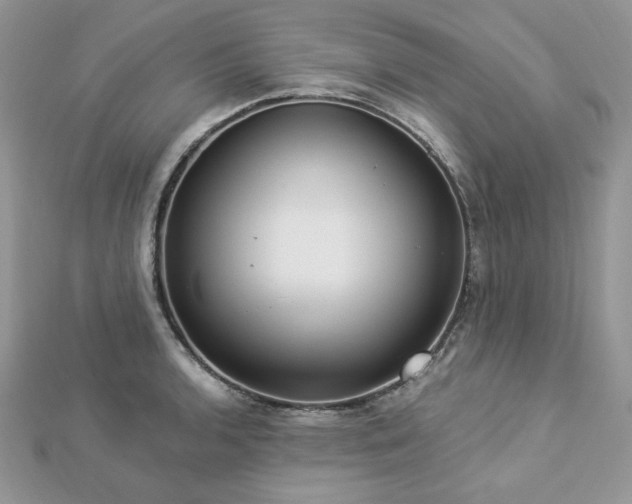 X0000112821136200908211200