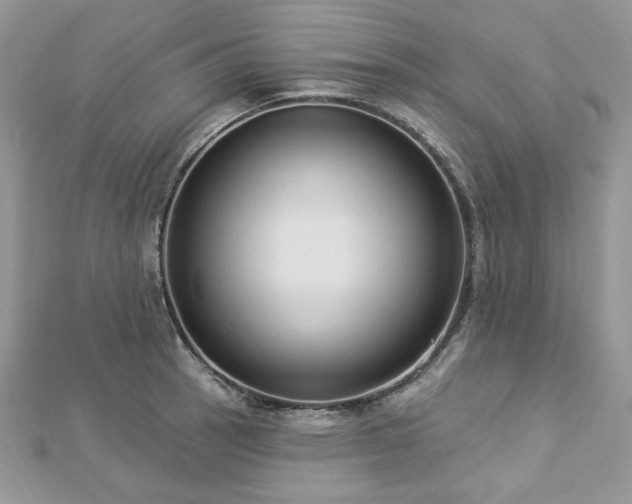 X0000112821137200908211200