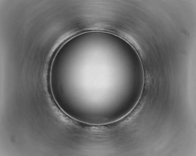 X0000112821138200908211200