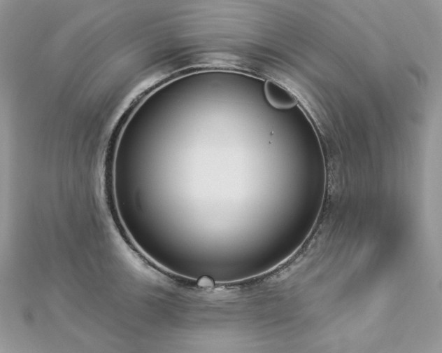X0000112821139200908211200