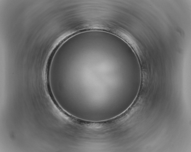 X0000112821141200908211200