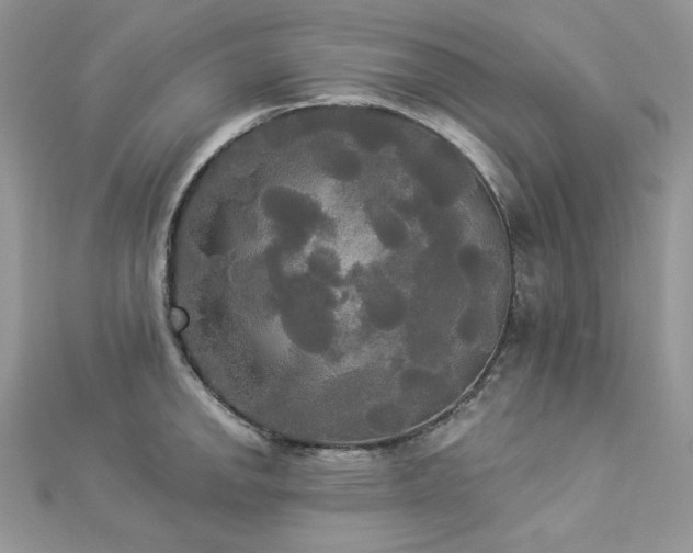 X0000112821142200908211200