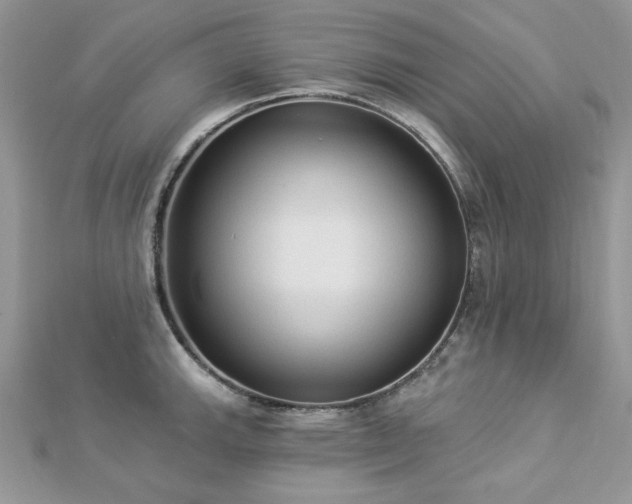 X0000112821143200908211200