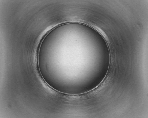 X0000112821144200908211200