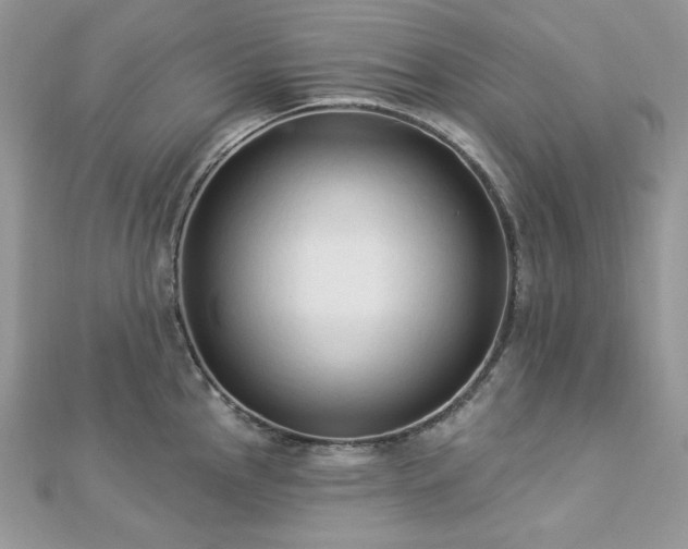 X0000112821145200908211200