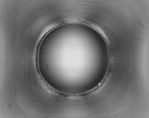 X0000112821146200908211200