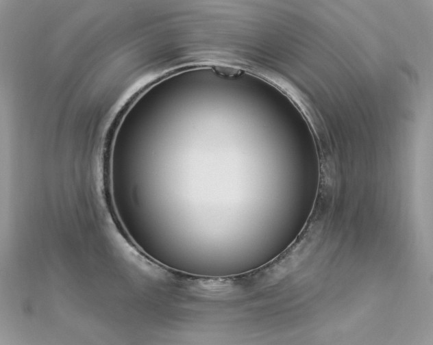 X0000112821147200908211200