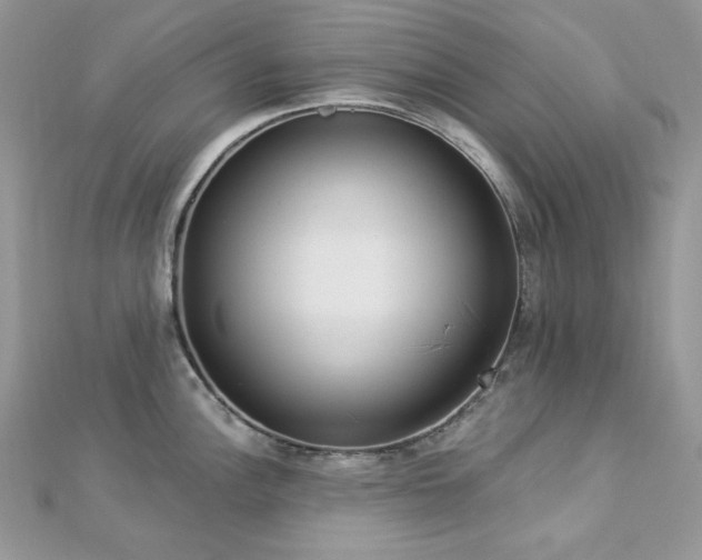 X0000112821148200908211200