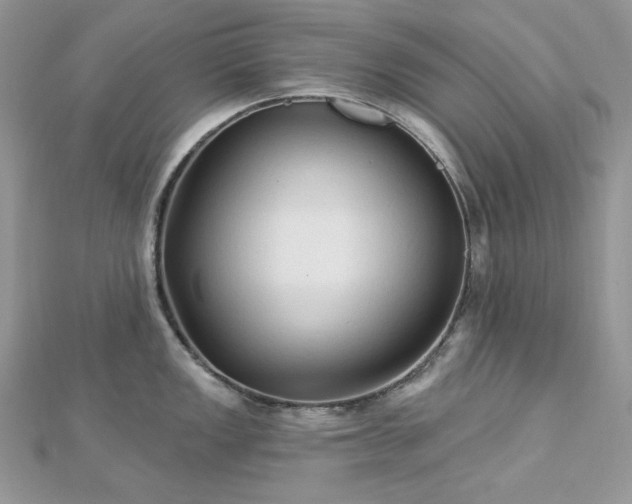 X0000112821149200908211200