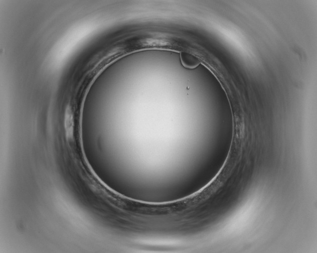 X0000112821151200908211200