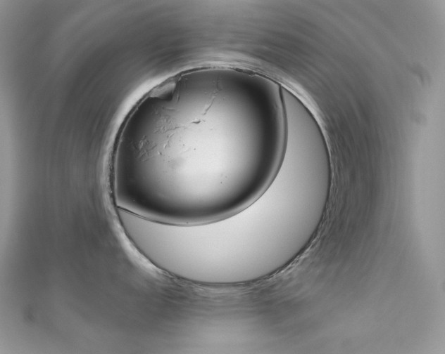X0000112821152200908211200