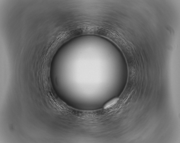 X0000112821153200908211159