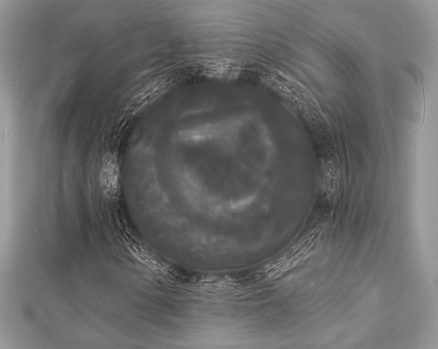 X0000112821154200908211159