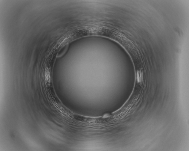 X0000112821155200908211159