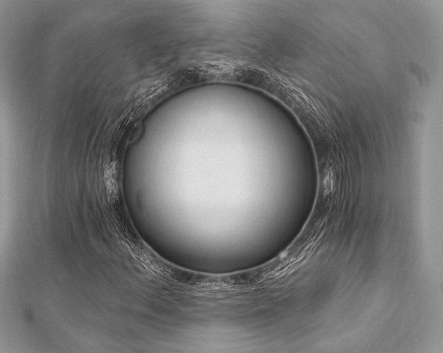 X0000112821156200908211159