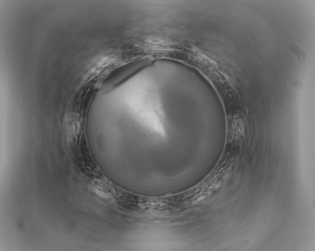 X0000112821157200908211159