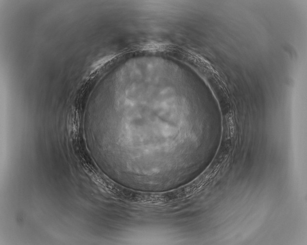 X0000112821158200908211159