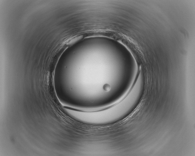 X0000112821161200908211159